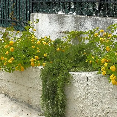 Marywilliam 4* Agropoli